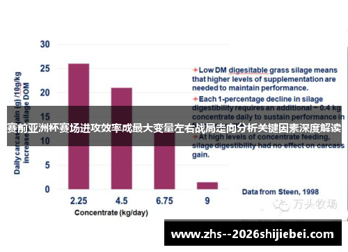 赛前亚洲杯赛场进攻效率成最大变量左右战局走向分析关键因素深度解读