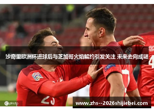 沙奇里欧洲杯进球后与芝加哥火焰解约引发关注 未来去向成谜 沙奇里欧洲杯进球后与芝加哥火焰解约引发关注 未来去向成谜